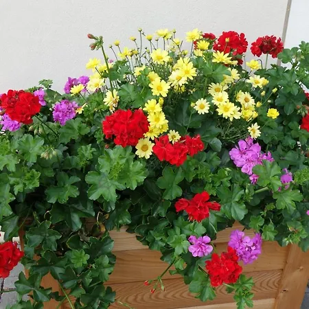 Marhof Pustertal Apartamento