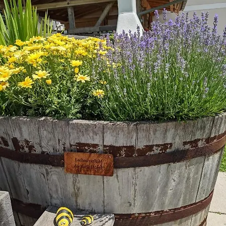 Marhof Pustertal * Anras