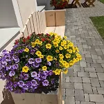 Marhof Pustertal Apartament