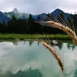 Marhof Pustertal *